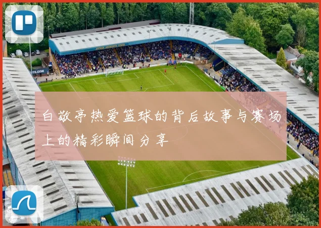 白敬亭热爱篮球的背后故事与赛场上的精彩瞬间分享
