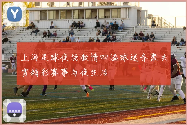 上海足球夜场激情四溢球迷齐聚共赏精彩赛事与夜生活